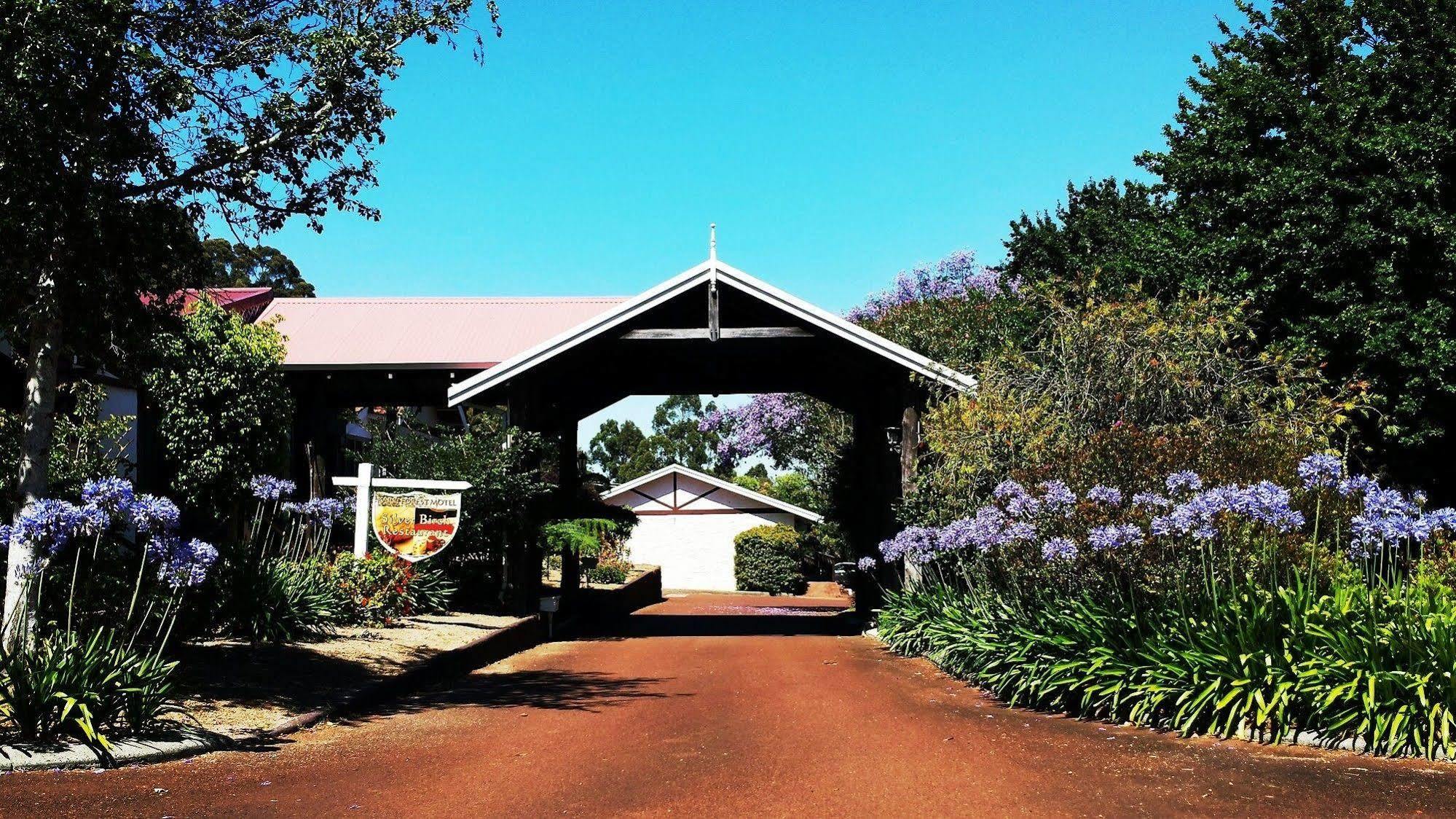 Karri Forest Motel Pemberton Dış mekan fotoğraf