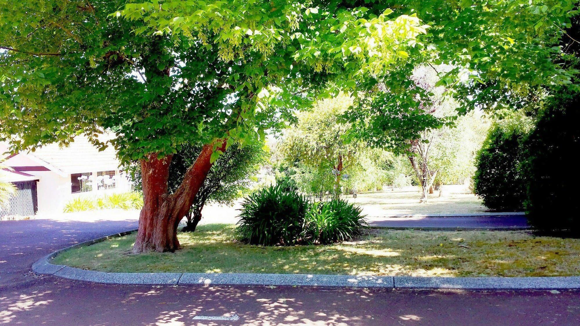 Karri Forest Motel Pemberton Dış mekan fotoğraf